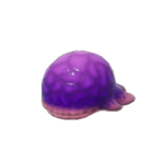 Icon for the Water Dumple, from Pikmin 4&#39;s Piklopedia.