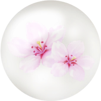 White cherry blossom nectar icon.png