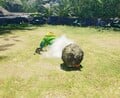 An Armored Cannon Larva throwing a boulder towards a pikpik carrot.