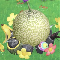 Melon Pikmin Bloom.jpg