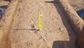 The treasure being carried by a Yellow Pikmin.