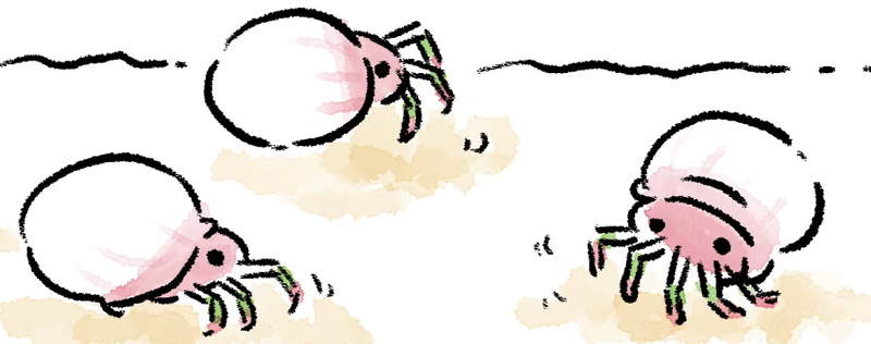 File:P4 Comic Mitites.png