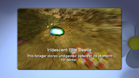 Iridescent Flint Beetle Enemy Reel Switch.png