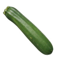 Icon for the Crew-Cut Gourd, from Pikmin 4's Treasure Catalog.