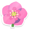 Lifelog artwork of a red helleborus from Pikmin Bloom.