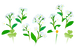 Texture for white forget-me-not flowers on the map in Pikmin Bloom.