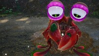 Bug Eyed Crawmad P4 Eat.jpg