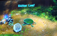 Scan of a Skitter Leaf in an earlier version of Pikmin 3.