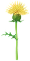 Thumbnail for version as of 06:45, October 1, 2026