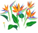 Texture for red bird of paradise/strelitzia flowers on the map in Pikmin Bloom.