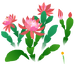 Texture for red orchid cactus flowers on the map in Pikmin Bloom.