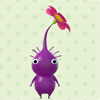 Memory-match up card image for the Play Nintendo Pikmin pairs!.