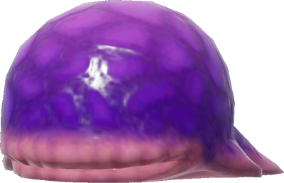 Carte Water Dumple