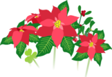 Red poinsettia flowers icon.png