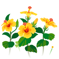 Yellow hibiscus flowers icon.png