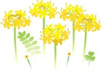 Yellow spider lily flowers icon.png