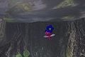 In an early version of Pikmin 3, Winged Pikmin had blue flowers.