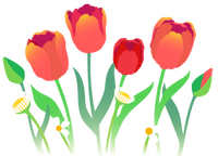 Red tulip flowers icon.png