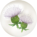 White thistle nectar from Pikmin Bloom.