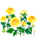 Texture for Yellow peony flowers on the map in Pikmin Bloom.
