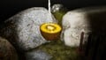 An alternative, more close-up, shot of the treasure in the location it is discovered.