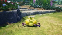 P4 Dead Peckish Aristocrab.jpg