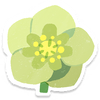 Lifelog artwork of a yellow helleborus from Pikmin Bloom.