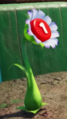 A Pellet Posy with a red 1-pellet in Pikmin 4.