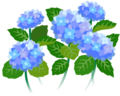 Blue hydrangea flowers icon.png