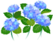 In-game texture for blue hydrangea flowers on the map.