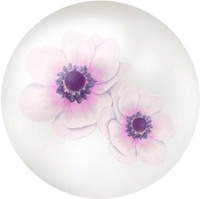 White windflower nectar icon.png