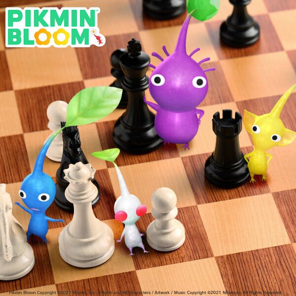 File:International Chess Day Promotional Image.jpg