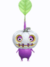 An animation of a purple Pikmin with a jack-o-lantern from Pikmin Bloom.
