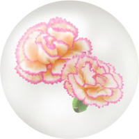 White carnation nectar icon.png
