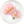 White carnation nectar from Pikmin Bloom.