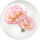 White carnation nectar from Pikmin Bloom.
