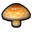 Growshroom