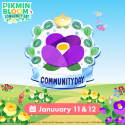 Promotional image for the January 2025 Community Day.