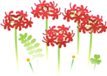 Red spider lily flowers icon.png