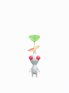An animation of a White Pikmin with a Stamp from Pikmin Bloom.