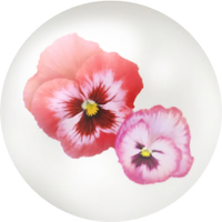 Red pansy nectar icon.png