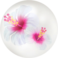 White hibiscus nectar icon.png