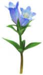 Blue gentian Big Flower icon in Pikmin Bloom.