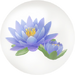 Blue water lily nectar in Pikmin Bloom.