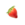 Treasure Catalog icon for the Sunseed Berry.