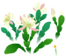 Texture for white orchid cactus flowers on the map in Pikmin Bloom.