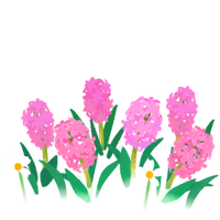 Red hyacinth flowers icon.png