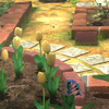 Blooming Terrace