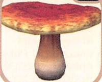 P2 Artwork Toxic Toadstool.png