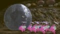 Closeup of an iron ball getting pushed by a group of Winged Pikmin.